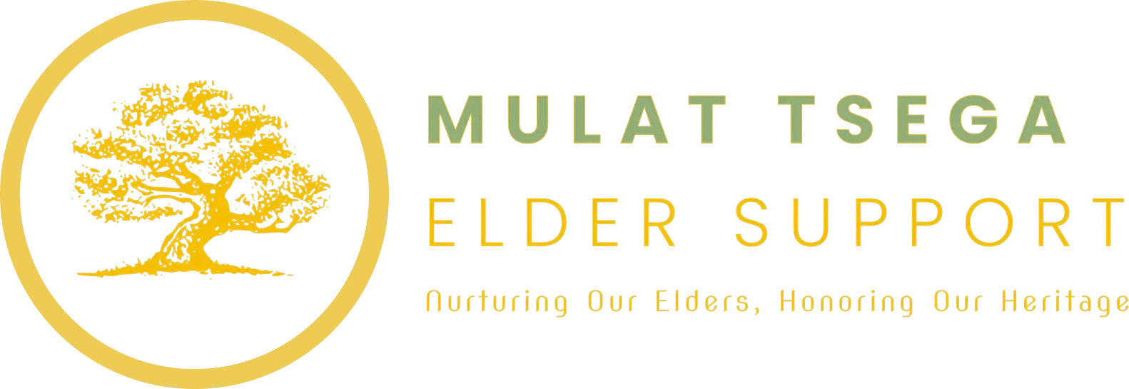 Mulat Tsega Elder Care